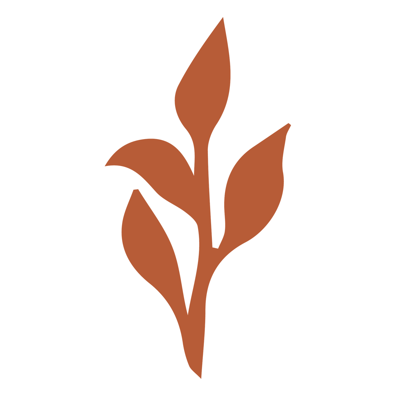 Terapias Holísticos en Barcelona y Mataró - Angeles Corral