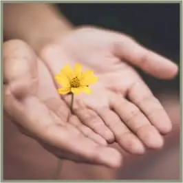 Terapias Holísticas en Barcelona y Mataró - Acompañamiento Holistifo - Angeles Corral