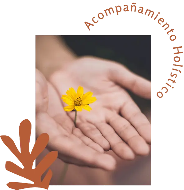 Acompañamiento Holístico Integral - Servicios de Terapias Holísticas