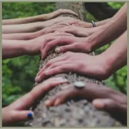 Terapias Holísticas en Barcelona y Mataró - Angeles Corral - Constelaciones Familiares - Angeles Corral