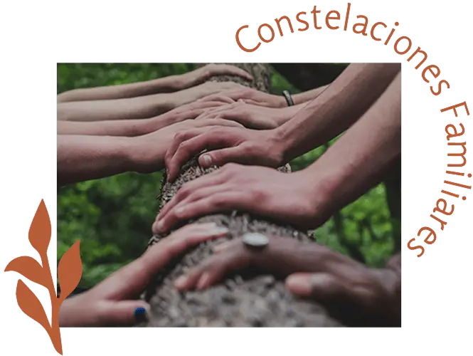 Constelaciones Familiares pagina Servicio